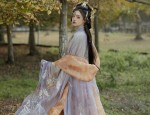 Elegant Pink Hanfu Shoes:A Glimpse into Traditional Chinese Fashion