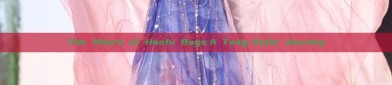 The Allure of Hanfu Bags:A Tang-Style Journey