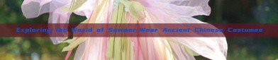 Exploring the World of Summer-Wear Ancient Chinese Costumes