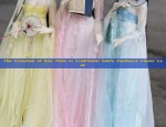 The Evolution of Hair Pads in Traditional Hanfu Fashion:A Closer Look