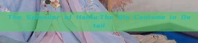 The Splendor of Hanfu:The Qin Costume in Detail