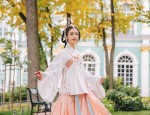 Golden Hanfu:A Glimpse into the Splendid World of Traditional Chinese Clothing