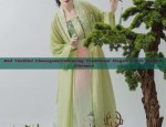 Red Youthful Cheongsam:Embracing Traditional Elegance with Modern Vibrance