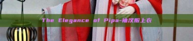 The Elegance of Pipa-袖汉服上衣