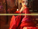 The Splendor of Huaxia:The Ethereal Mandarin Horseback Skirt
