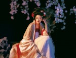 Neo-Ming Style Song Dynasty Hanfu:A Blend of Traditional Elegance and Modern Flavor