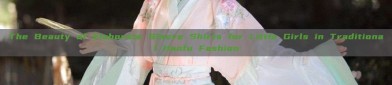 The Beauty of Elaborate Sleeve Shirts for Little Girls in Traditional Hanfu Fashion