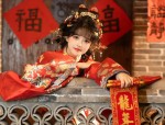 The Plum Blossom and the Fall of Hanfu:A Tale of Traditional Beauty and Cultural Heritage