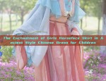 Ancient Chinese Headwear for New Years Greetings:A Journey into Traditional Costume Accessories