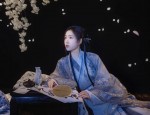 Hanfu Hair Clips:A Pair of Traditional Elegance
