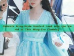 Delicate Ming-Style Hanfu:A Look into the World of Thin Ming-Era Clothing