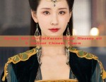 Chinese Traditional Costume for Women:Winter Adult Ancient Style Clothes