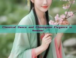 The Elegance of Hanfu Waist Decorations:The Pouch as a Symbol of Cultural Heritage