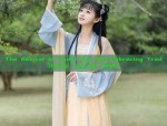 The Revival of Hanfu Dao Pao:Embracing Traditional Chinese Style