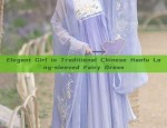 Elegant Girl in Traditional Chinese Hanfu Long-sleeved Fairy Dress
