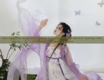 The Splendid Ming-Style Hanfu Hundred-Pleated Skirt:A Journey into Traditional Chinese Elegance