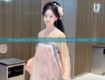 Little Girl in Hanfu Fashion:The Charm of Traditional Chinese童装