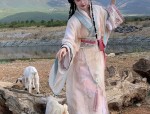 Exploring the World of Childrens Hanfu Hair Accessories:A Guide to Traditional Girls Hanfu Headwear
