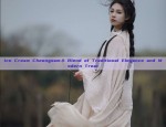 Ming-Style Hanfu for Girls:Autumn Winter Fashion in Traditional Elegance