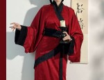 The Hidden Charm of Hanfu:The Insight of a Diabolical Elegance