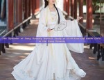 The Splendor of Red Tang Suit:A Chinese-Style Blouse