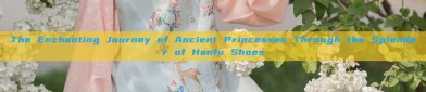 The Enchanting Journey of Ancient Princesses Through the Splendor of Hanfu Shoes