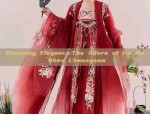 Lightweight Hanfu for Summer:A Guide to Comfort and Style