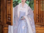 Flying with the Phoenix:The Splendor of Hanfu Robes with Trailing Splashes