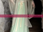 The Enchantment of Shanghai Nights Through Cheongsam Skirts
