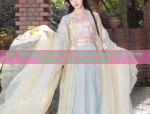 The Splendid Beauty of Plum Blossom and Three Styles of Horseface Skirt