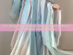 The Ming-Style Narrow Sleeve Hanfu:A Blend of Tradition and Elegance