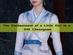 Yushuxins Style of Traditional Chinese Hanfu Fashion:A Blend of Ancient and Modern Charm