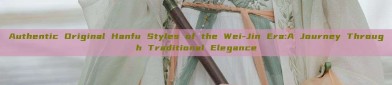 Authentic Original Hanfu Styles of the Wei-Jin Era:A Journey Through Traditional Elegance