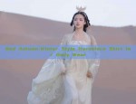 Red Traditional Chinese Dress Accessories for Women:Latest Hair Ornament Trends