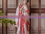 The Splendid Journey of Hanfu by the Fish Leap Stream