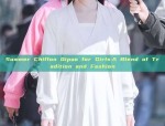 Summer Chiffon Qipao for Girls:A Blend of Tradition and Fashion