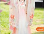 Adult Womens Hanfu Short-sleeved Shirts:A Blend of Tradition and Modernity