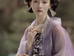Adult Womens Hanfu Short-sleeved Blouses:A Glance into Traditional Elegance