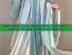 Adult Hanfu Dance Performance Costumes:A Journey Through Traditional Elegance