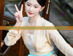 Embracing Traditional Elegance:The Original Hanfu of 887