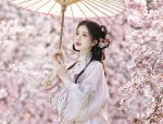 The Mid-Sleeve Cheongsam Skirt with Three-Quarter Length Sleeves and Belly-Covering Design