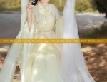 Elegant Hanfu Set:The Allure of Traditional Chinese Dress in a One-Piece Dress