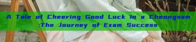 A Tale of Cheering Good Luck in a Cheongsam:The Journey of Exam Success