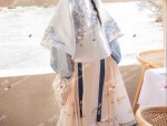 Embroidered Splendor:The Allure of Hanfu Stitched Dress