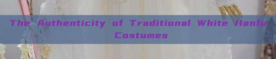 The Authenticity of Traditional White Hanfu Costumes