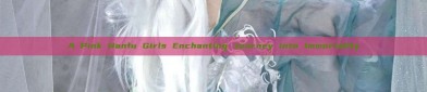 A Pink Hanfu Girls Enchanting Journey into Immortality