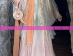 The Wedding Gown of Good Fortune:Qipao for the Brides Mother
