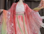The Plum Blossom and the Fall of Hanfu:A Tale of Traditional Beauty and Cultural Heritage