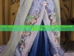 The Grace of Hanfu:A Girl Child in a Wide Sleeve汉服女童广袖