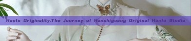 Hanfu Originality:The Journey of Hanshiguang Original Hanfu Studio